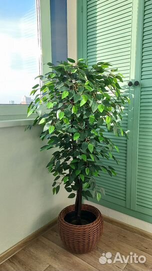 Искусственное дерево фикус