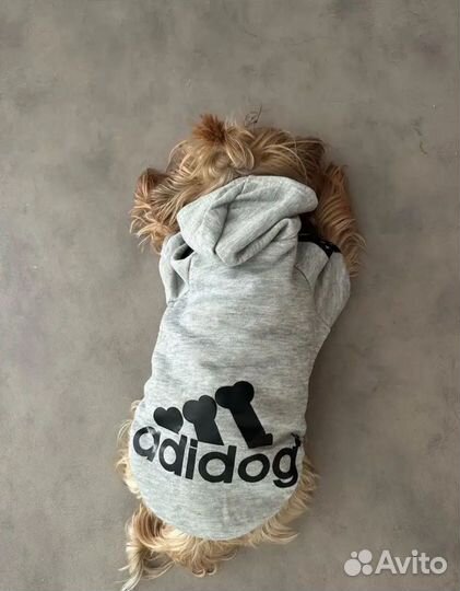Одежда для собак новая