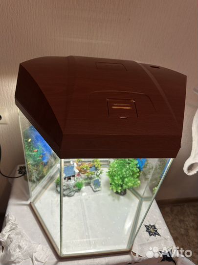 Аквариум