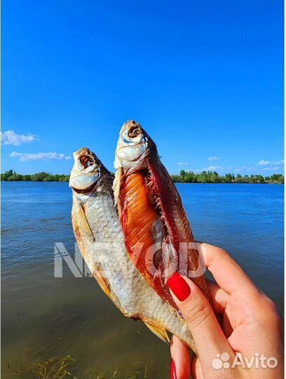 Астраханская вяленая вобла