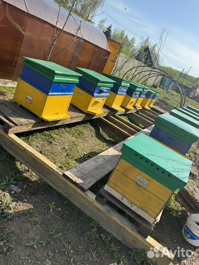 Ульи для пчел