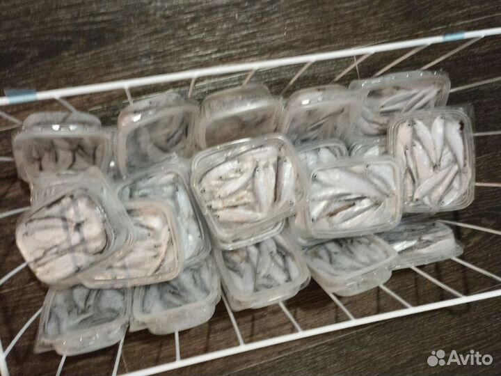 Тюлька для рыбалки