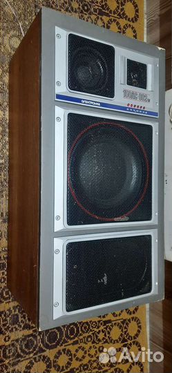 Акустические колонки Электроника 150ас