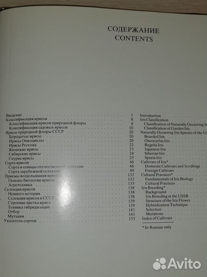 Хобби и отдых