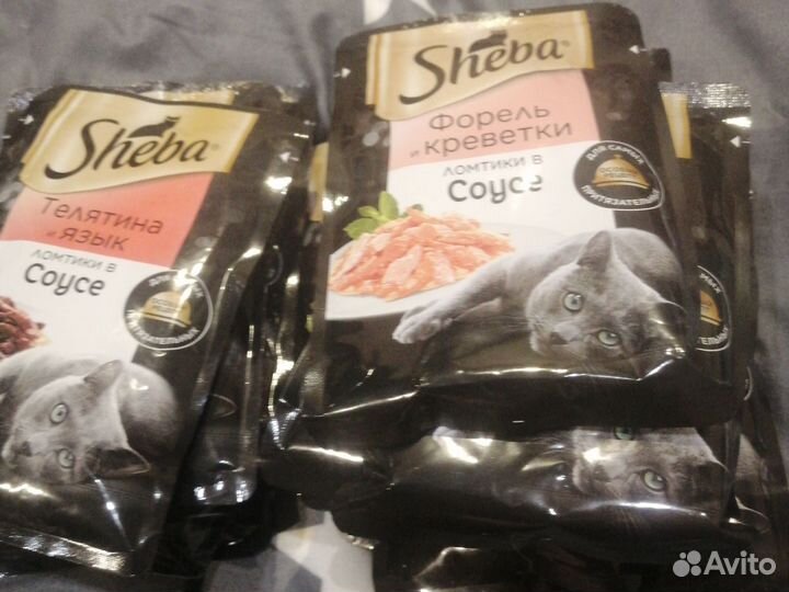 Влажный корм для кошек