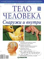 Тело человека снаружи и внутри