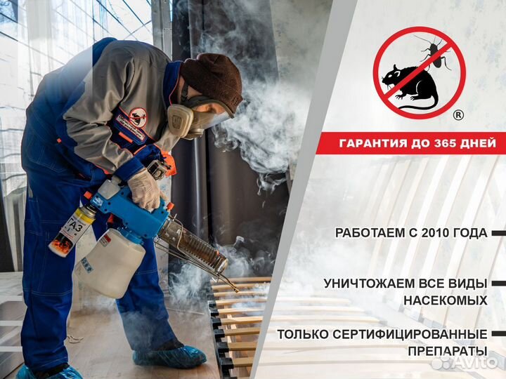 Уничтожение клопов, тараканов, крыс, дезинфекция