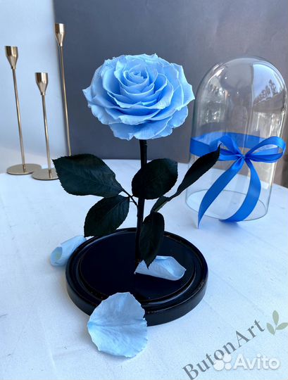 Роза в колбе