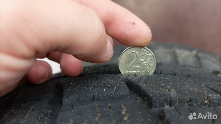 Cordiant Polar SL 195/65 R15