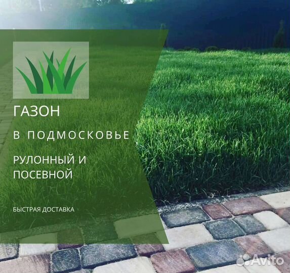 Рулонный газон, газон посевной