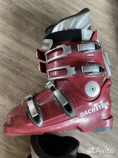 Ботинки для горных лыж