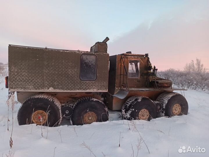 Снегоболотоход 