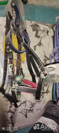 Конная амуниция