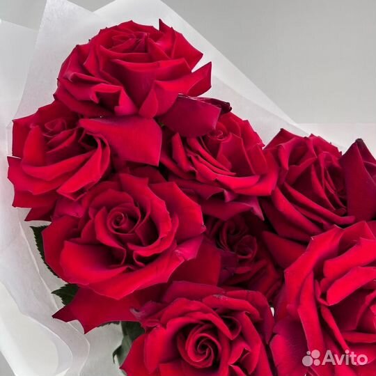 Букет красная французская роза