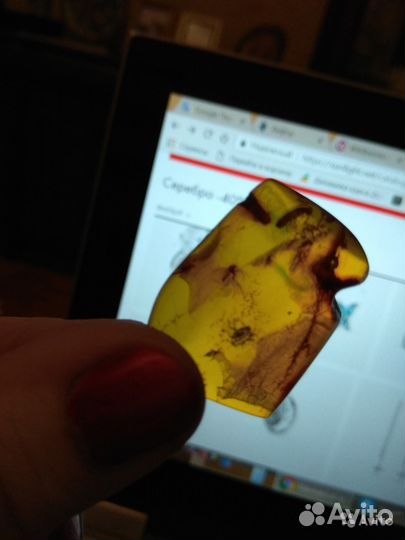 Янтарь с инклюзом комара внутри