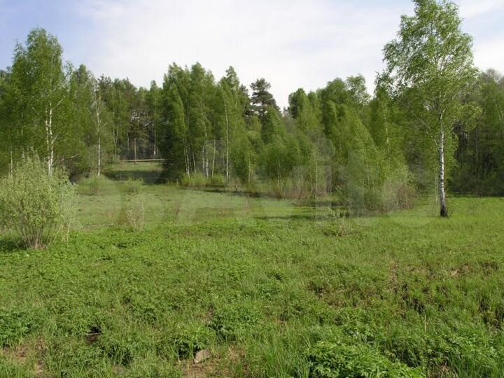 Участок 13,4 сот. (СНТ, ДНП)