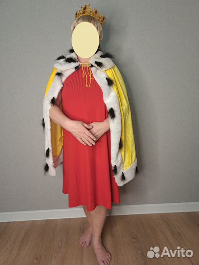 Трубадур и Принцесса из Бременских музыкантов