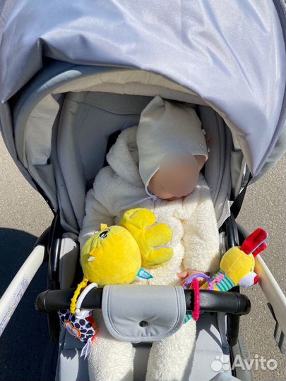 Коляска anex sport прогулочная