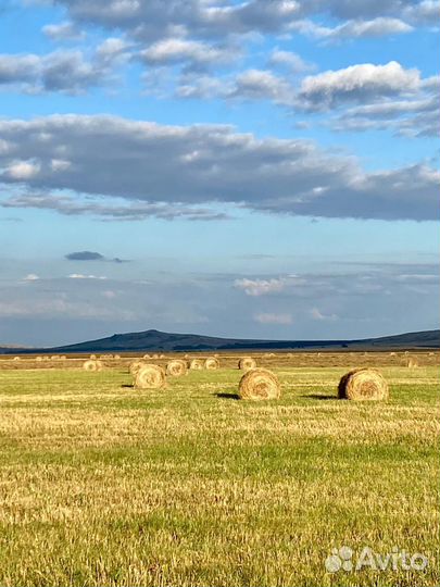 Сено в тюках