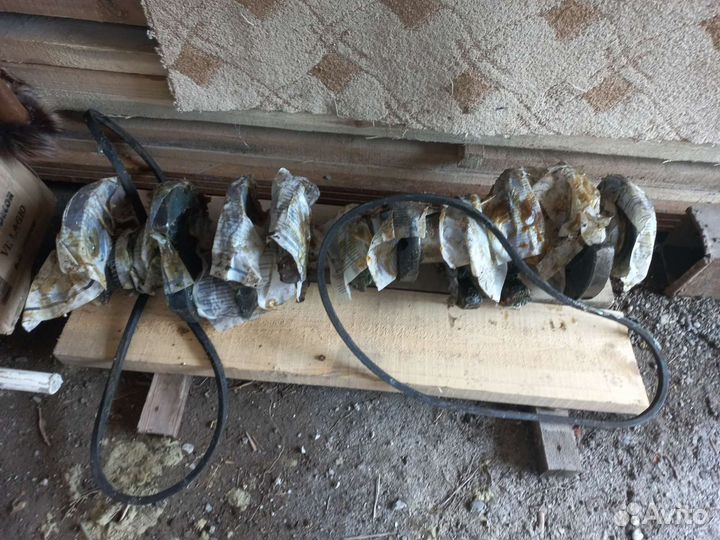 Коленчатый вал отшлифованный р1р1, 7511 ямз 238