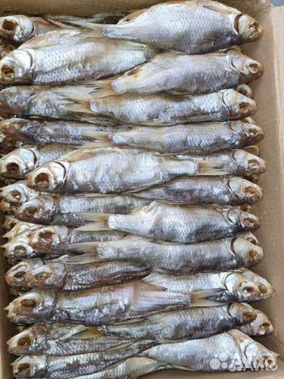 Вобла Вяленая премиум