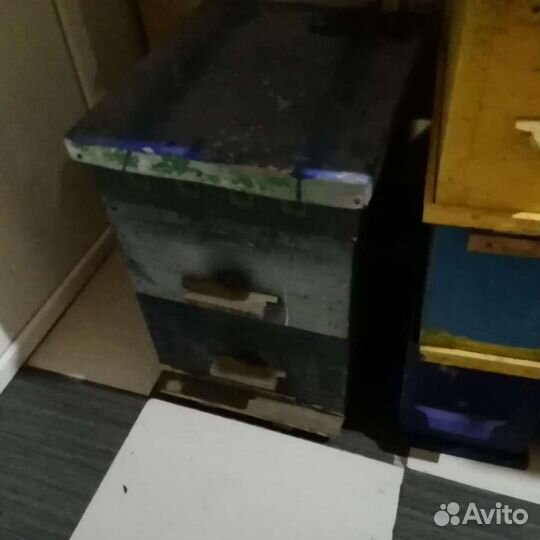 Ульи Рут, Дадан