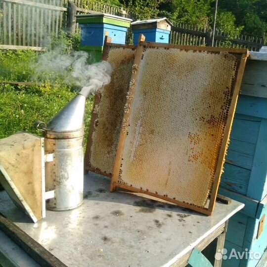 Мед оптом. В розницу