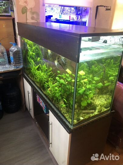 Аквариум 270л