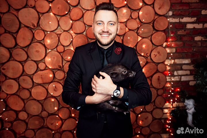 Ведущий на корпоратив/свадьбу