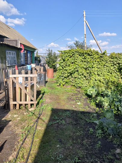 Дом 35,6 м² на участке 13,2 сот.