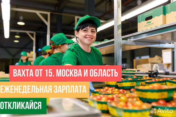 Сбощик/ца Смородины От 15 смен Питание Ставка Фикс