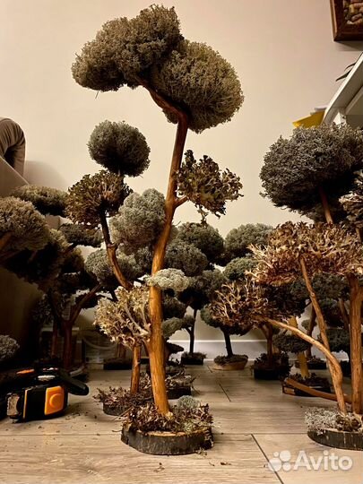Дерево живое ручная работа