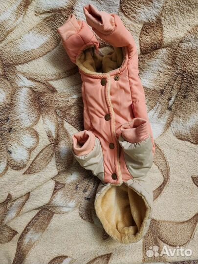 Комбинезон для маленькой собаки