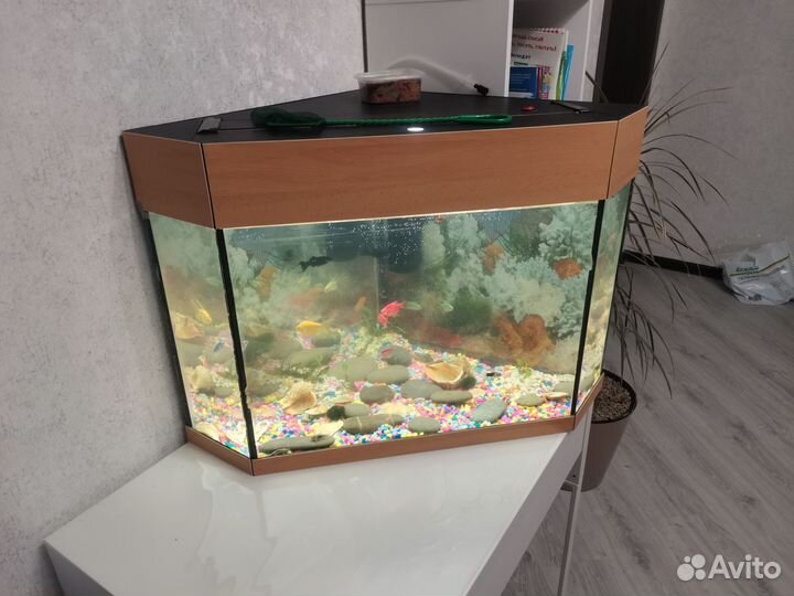 Аквариум с подсветкой