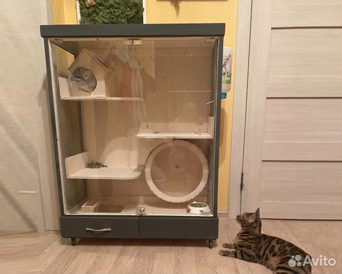 Витрина для шиншиллы дегу Клетка Дом грызунов