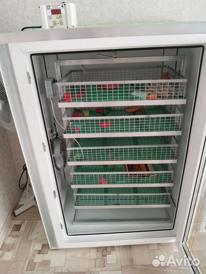 Инкубатор норма рейс на 625 яиц
