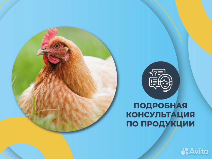 Корм для собак 35 мяса