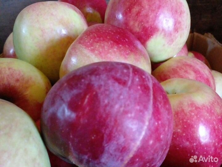 Аджика Яблоко