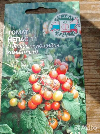 Комнатные помидоры