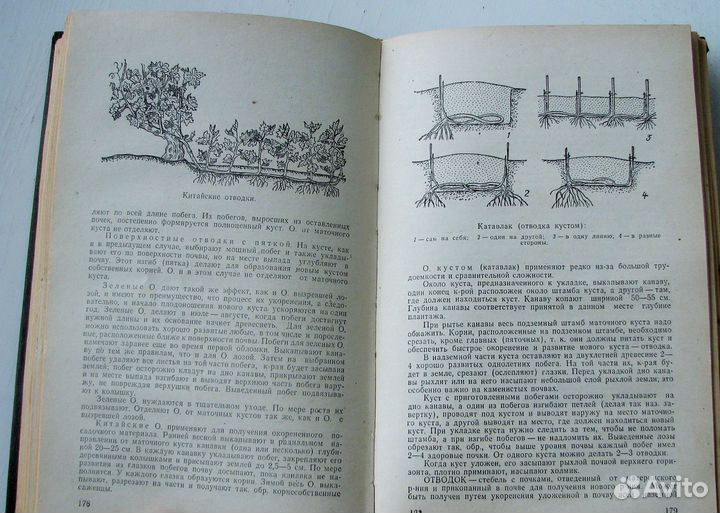 Пелях М. Справочник виноградаря. (1982)