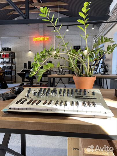 Korg Minilogue (Grade B)