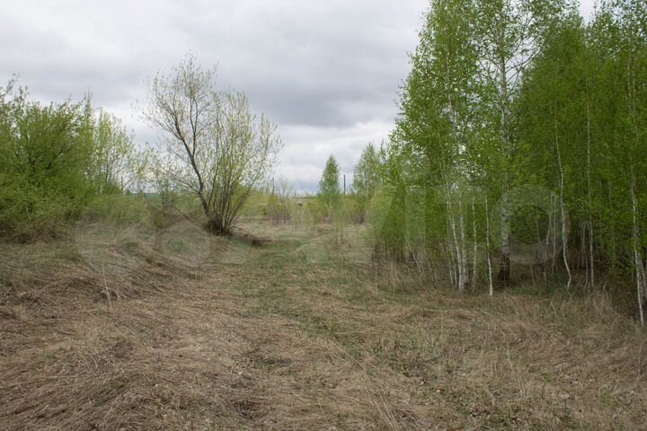 Участок 2 га (промназначения)