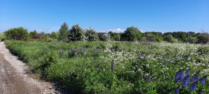 Участок 10 сот. (СНТ, ДНП)