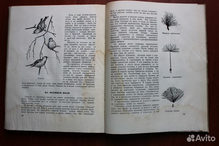 Плавильщиков Н.Н. Юным любителям природы.1953г