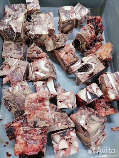 Корм для собак