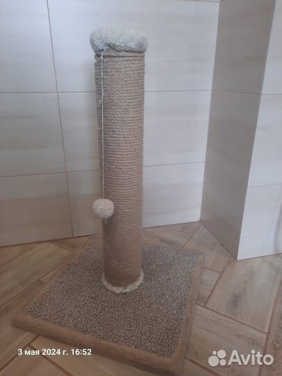 Когтеточка