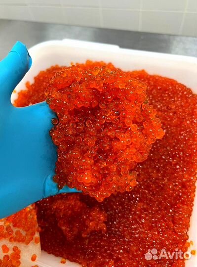 Красная Икра кеты - 2023 оптом