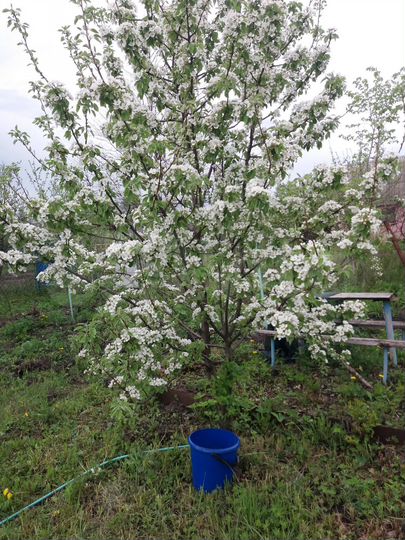 Дача 16 м² на участке 12 сот.