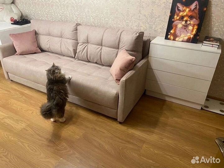 Комод в наличии