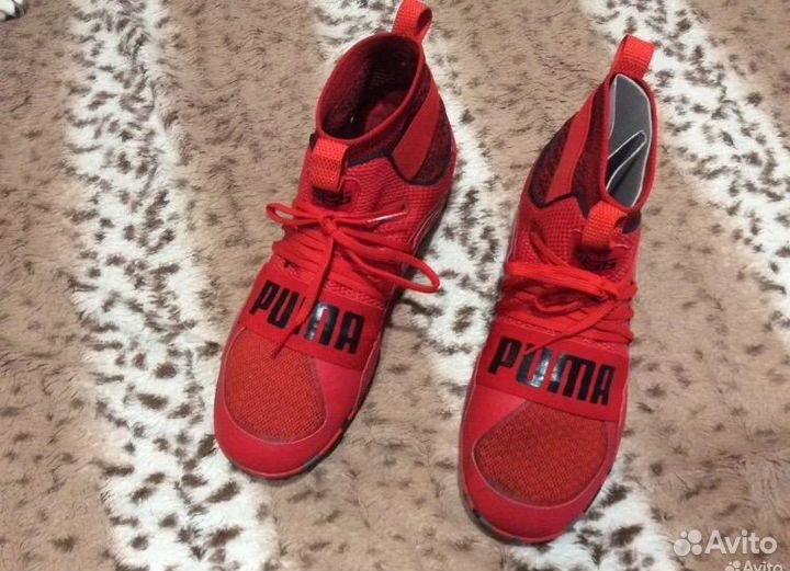 Сороконожки puma